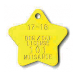 BN-163 Stainless Steel Dog Tag